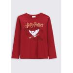 Sötét vörös árnyalatú Coccodrillo Harry Potter Harry Gyerek ingek 