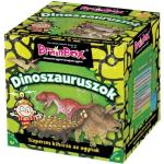 brainbox Dinoszauroszok Logikai játékok 5 - 7 éves korig 
