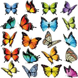 Butterflies öntapadó dekoráció, 30 x 30 cm