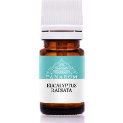 Eucaliptus radiata - illóolaj 5 ml PANAROM
