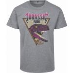 Férfi póló rövid ujjú // Merchcode Jurassic Park Pink Rock Tee heather grey