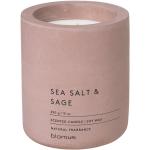FRAGA SEA SALT & SAGE rózsaszín 11cm magas Ø9cm tengeri só-zsálya illatú szója viasz illatgyertya
