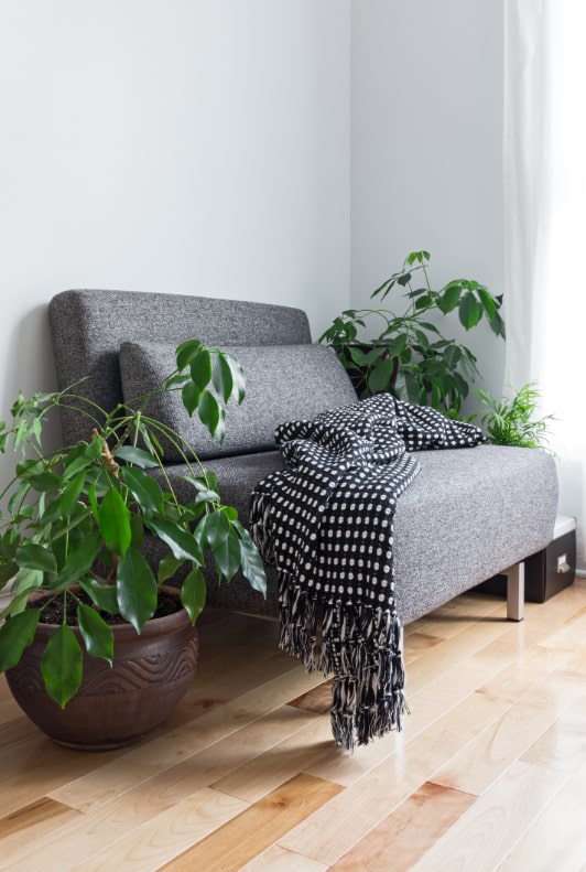 Szürke fotel növényekkel és fekete-fehér pöttyös takaróval