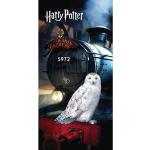 Frottírszövet Harry Potter Harry Törölközők 70x140 