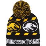 Kalap Jurassic Park Hazard Snow Beanie Fekete MOST 15469 HELYETT 7606 Ft-ért