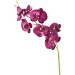Műanyag Lila LEONARDO Orhideák motívumos Művirágok 