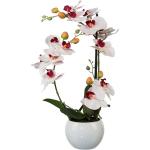 Ón Fehér Orhideák motívumos Művirágok akciósan 
