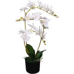 Műanyag Fehér Orhideák motívumos Művirágok 