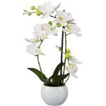 Műanyag Fehér Orhideák motívumos Művirágok akciósan 