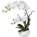 Ón Fehér Orhideák motívumos Művirágok akciósan 