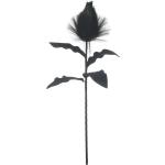 Fekete Művirágok 