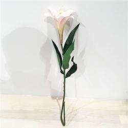 Művirág Lily Trumpet