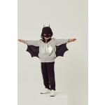 Szürke Zippy Batman Gyerek pulóverek akciósan 