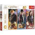 Papír Harry Potter Harry 100    darabos  Puzzle-k 7 - 9 éves korig 