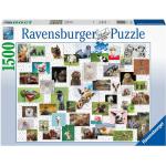 Ravensburger 1500    darabos  Állatos motívumos Puzzle-k 12 éves kor felett 